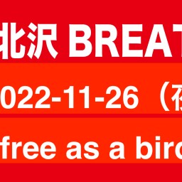 2022-11-26 （夜） free as a bird