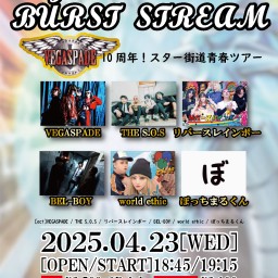 【VIJON de BURST STREAM】