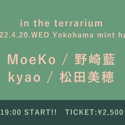 【4/20】in the terrarium