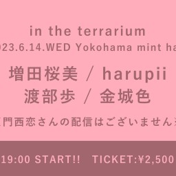 【2023/6/14】in the terrarium