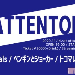 11/14 ATTENTION