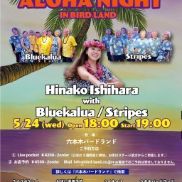 HinakoIshihara,Bluekalua,Stripes