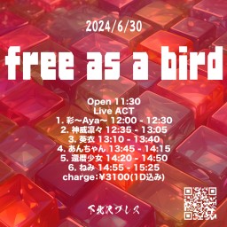 2024-06-30（昼）free as a bird
