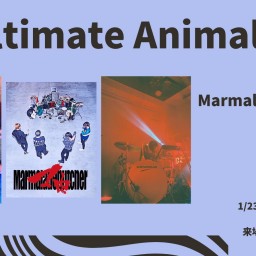 25/1/23『Ultimate Animals 3』