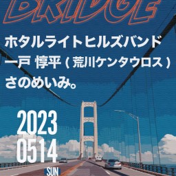 BRIDGE20230514