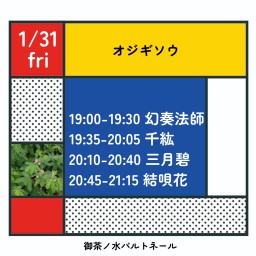 1/31オジギソウ