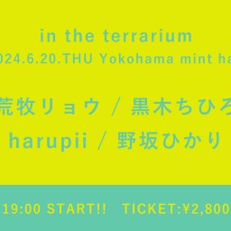 【2024/6/20】 in the terrarium