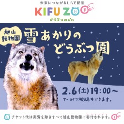 KIFU  ZOO 旭山動物園「雪あかりの動物園」