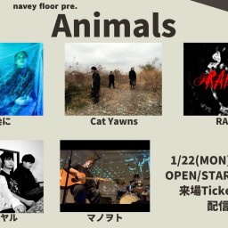 1/22 『Animals』