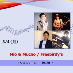 Mio & Mucho / Freebirdy's (2024/3/4)
