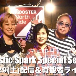 Fantastic Spark 5/29