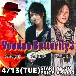 Voodoo Butterfly3