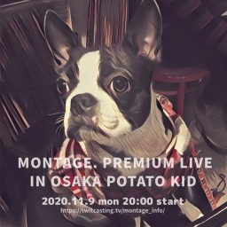 premium live in potato kid