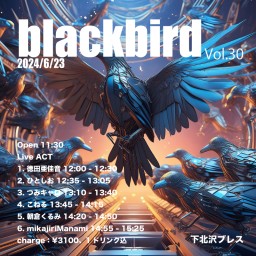 blackbird Vol.30