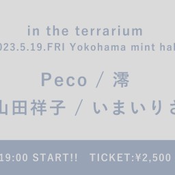 【2023/5/19】in the terrarium
