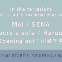 【1/14】in the terrarium