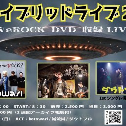 ハイブリットライブ22　～WeROCK DVD収録 LIVE～