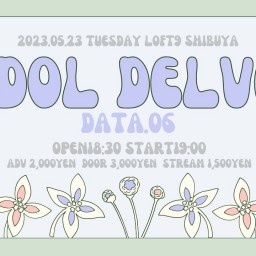 IDOL DELVE data.06