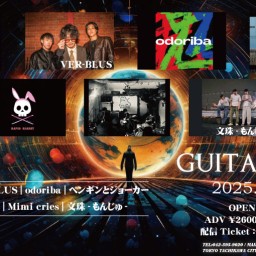 4/26 GUITAR GUNS