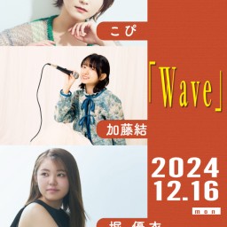 Wave20241216