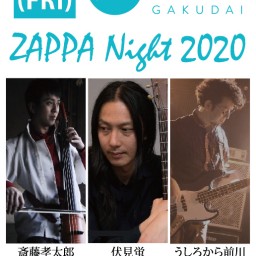 ZAPPA Night 2020