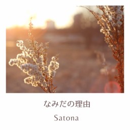 なみだの理由/Satona