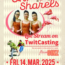 Oh！Sharels Live Streaming 3/14