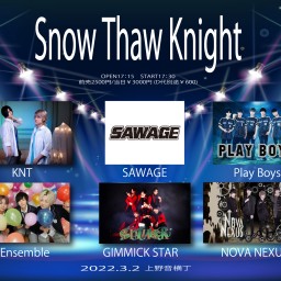Snow Thaw Knight
