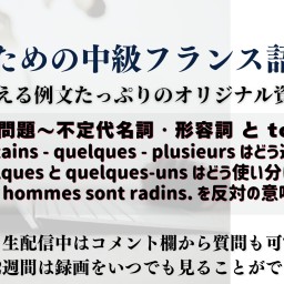 115. 練習問題〜不定代名詞・形容詞 と tout(e)(s)