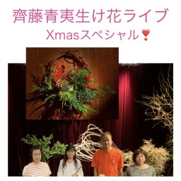 齊藤青夷 生け花ライブ  Xmas スペシャル! 12/25
