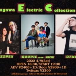 Udagawa Electric Collection