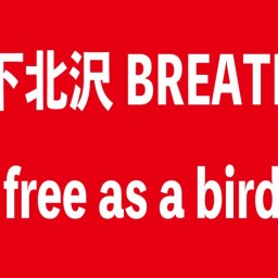 Free as a bird  12-22