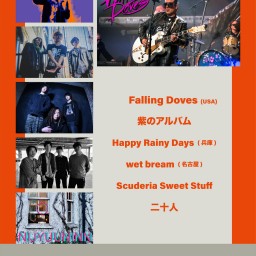『 Falling Doves in Japan 』