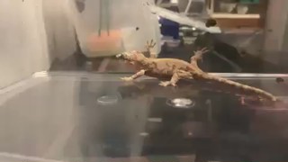 2019/11/20 02:03:30