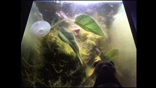 2019/12/12 20:54:55