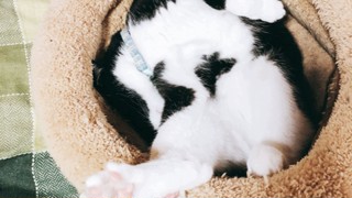2019/10/23 11:57:44
