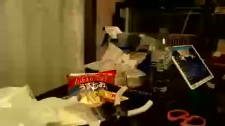 2019/12/06 02:31:38