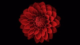 2021/04/11 00:11:22
