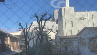 2023/03/19 15:05:50