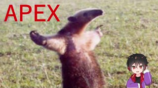 2021/05/16 13:58:03
