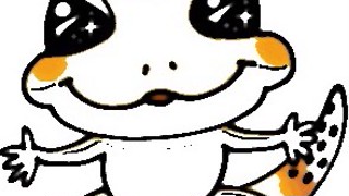 2021/06/19 22:47:42