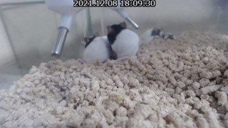 2021/12/08 18:08:57