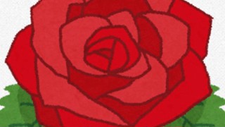 2021/05/13 09:32:33