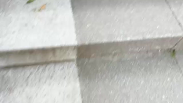 2025/06/28 15:17:48