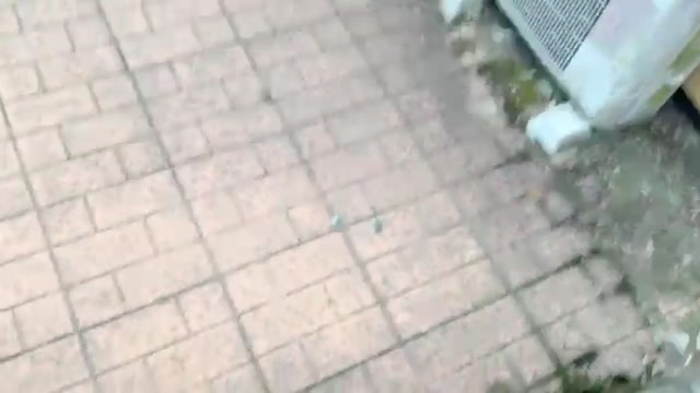 2025/06/28 17:09:46